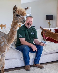 Meet the alpaca living her best dog life! 🦙🐾 | Love This