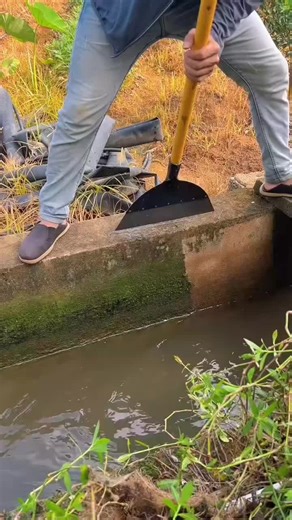 shining.lady143 (@shining.lady143)’s videos with som original - Promesas Cristianas ✝️🙌