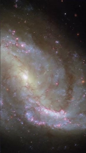 Hubble Captures the Dusty Heart of Spiral Galaxy NGC 7496