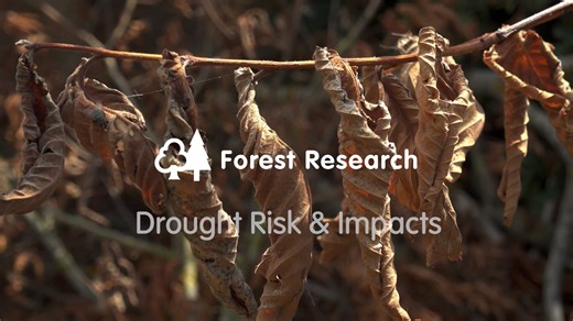 Drought Risk and Impacts