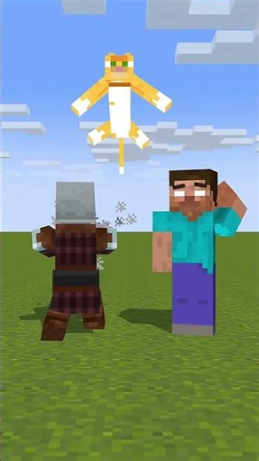 Steve VS Herobrine - Funny Animation