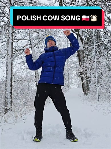 Exploring the Polish Cow Song: Lyrics and Meaning