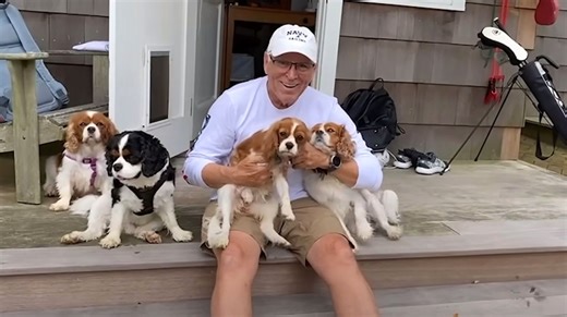 Jimmy Buffett hails pet adoption in posthumous 'Like My Dog' video