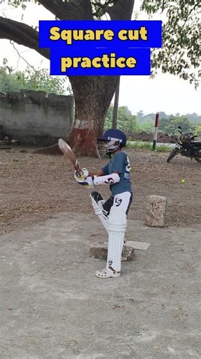 Square cut practice 🏏 #shorts #cricket #viral