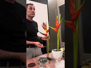 Creating a Exotic Floral Arrangement