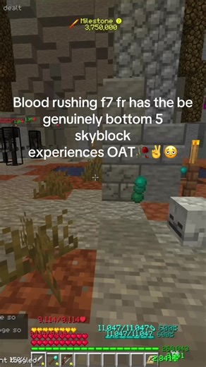 And blood camping for a minute straight #skyblock #dungeons #bloodrushing #fyp