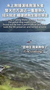 558K views · 8.3K reactions | 藍藍藍In a water rescue drill, the police dog swam full speed toward the "drowning victim". After realized he was someone familiar, the #dog immediately turned around and swam back, not forgetting to take the life buoy with it… (Video via People's Daily) #ChinaStory #FunMoment | China News 中国新闻网 | Facebook