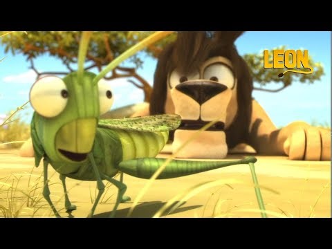 Bellydancing Witchcraft | Leon the Lion | 75' Compilation | Crazy animals