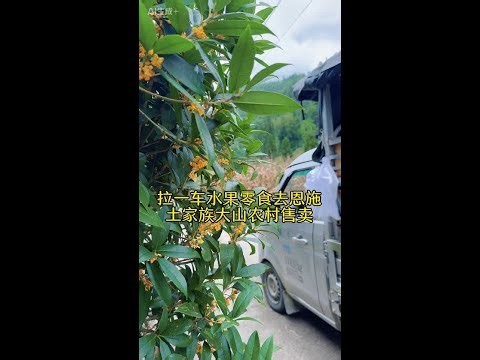 恩施土家卖货郎 第229集 | 拉一车水果零食去恩施土家族大山农村售卖是什么样的体验，在此中秋佳节之际，提前祝大家中秋节快乐哦#原创视频#我的乡村生活 #无骨鸡爪 #卖货郎 #恩施