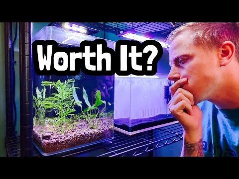 Seachem Flourite Planted Substrate Review