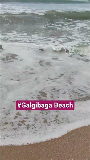 Galgibaga Beach | South Goa | September 2025 #goa #southgoa #southgoabeaches #galgibaga #goaparty