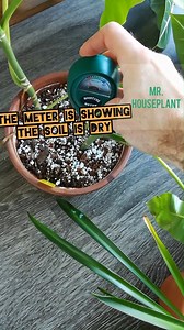 How to Use a Moisture Meter