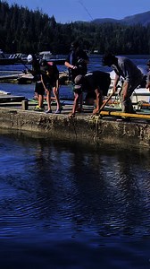 HOW COOL IS THIS!! 9 year old Cash Cook caught a beautiful Halibut off our Outpost dock! The best part is, he had been working to save to buy this rod from our store and this was the first time he used it! So fun…great family!! #fishwinterharbour #fisharebighere #outpostwinterharbour #gibbsfishing #islandfishermanmagazine #jodyvance #codycook | The Outpost at Winter Harbour