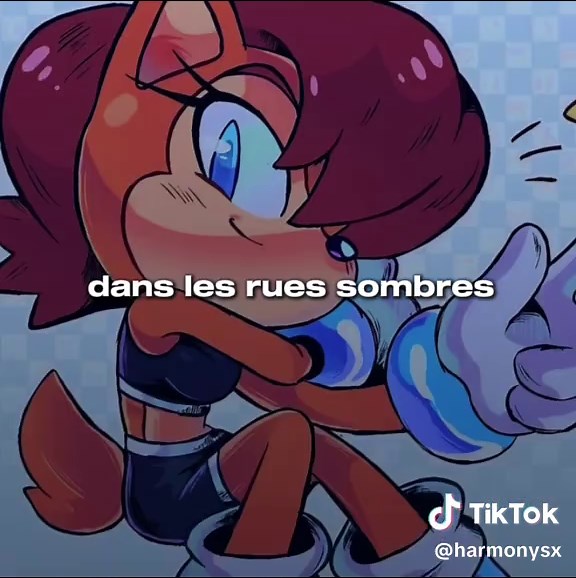 Exploring Sonic Ships: Sonamy vs Shadamy