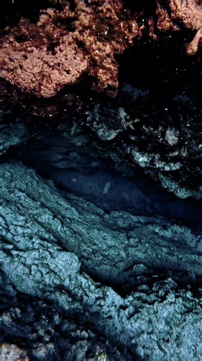 37 reactions · 6 comments | Some raw footage of the little devil spring at ginnie springs! What a unique spring to dive  how deep can you go? ✨️隆‍♀️✨️ #dive #freedive #freediver #freediverlife #florida #floridasprings #GinnieSprings #mermaid #underwater #underwaterworld #underwaterlife #UnderwaterAdventure #underwatervideo | Savanna Pintea | Facebook