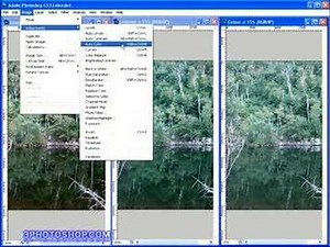 Photoshop Tutorial - Levels - Auto Levels, Color & Contrast