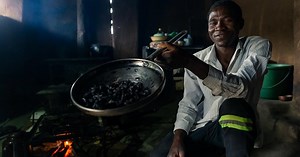 Crave for fried beetles grows in Zimbabwe's countryside | Africanews