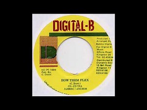 How Dem Flex Riddim Mix (1995) Cocoa Tea,Terror Fabulous,Tony Rebel & More (Digital B)