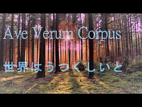 朗読＊音楽 🌸長田弘 : 世界はうつくしいと：Mozart : Ave Verum Corpus Septet モーツァルト：アヴェ ヴェルム コルプス 7重奏曲 Live Performance