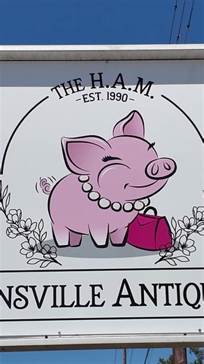 Hidden treasures in Hawkinsville 👀 We stopped into the Hawkinsville Antique Mall and there are some wild finds in here 😄 You never know what you’ll come across!