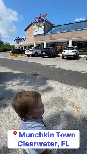 Munchkin Town in Clearwater keeps my 2.5-year-old happily entertained for 2 full hours! They have a huge indoor play space with a wide variety of toys. They even have couches on the sides, and a baby play area in the center. Food and drinks are not permitted in the play area but they have multiple adult and children-sized tables and chairs where you can still see the play area. They even have high chairs! They also have some snacks and drinks for sale which is super convenient. They have two fam
