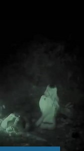 Kaila decide desafiar sus límites y pasar una noche en el bosque abrazada a un desconocido https://www.facebook.com/discoveryenespanol/videos/648613651393546/ | Discovery en Español