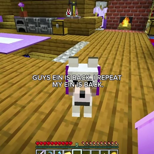 Aphmau's Minecraft Roleplay: We Miss You!