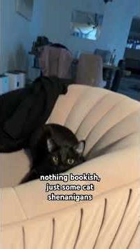 🐈‍⬛ full of piss & vinegar #cat #blackcat
