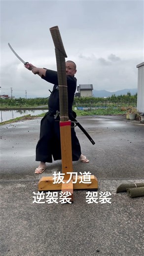 抜刀道 制定刀法 七本目 逆袈裟 袈裟 #居合道 #martialarts #抜刀道