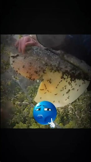 Dangerous job ever...💀