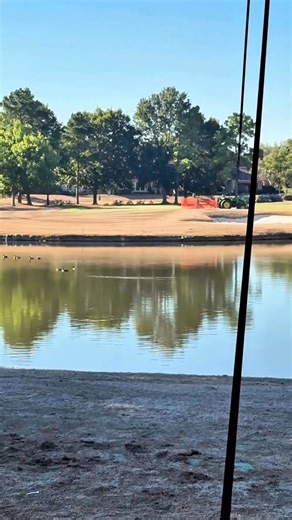 7.6K views · 14 reactions | How are you playing this hole? #golftok #fyp #golfer #youngdalt #golf | Daltonjoyce | Facebook