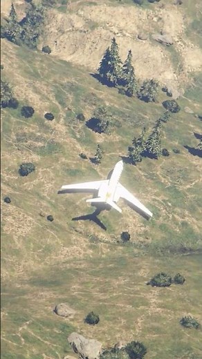 Pilot Saves Flight With Risky Hill Emergency Landing