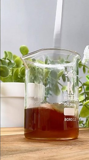 How to Make Ginseng Extract at Home | Easy 2-Step Method #shorts