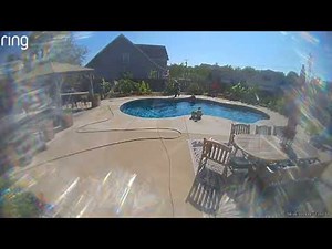 1.1K views | This elderly woman was watering the plants by the pool with her daughter-in-law when she accidentally fell in. While trying to avoid the water sprinkler, she stepped back and ended up in the pool. | Jukin Copyright Management | Facebook