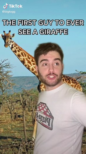 Funny Giraffe Memes Collection