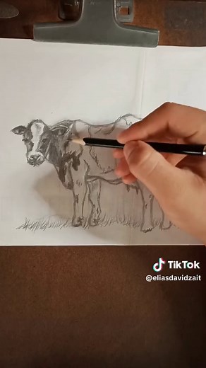 Cómo dibujar una vaca realista paso a paso