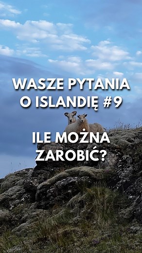 Jak wyglądają zarobki na Islandii? 💙🇮🇸 | Siódmy w Świecie