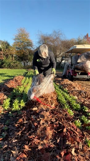 21K views · 2.4K reactions | Comment CLUB and I’ll DM the link to join my private community. Why do we spend so much time building our gardens? It saves time, money, and grows better flowers. One of my primary goals is to love being in my garden. Building gardens that are not a headache to care for and tend to have been a key. #flowerfarmer #ilovegardening #gardeners #gardenersworkshopfarm #iloveflowers | The Gardener's Workshop | Facebook