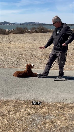 Proof That Training Sinks In Later (Latent Learning in Action)