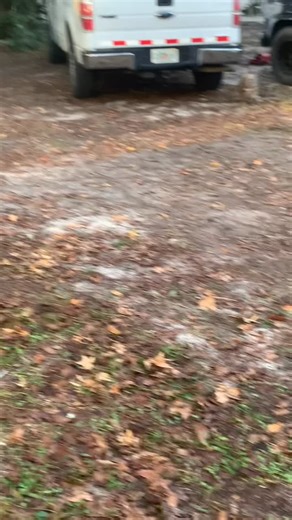 #mulan #bully #nanobully #bullz #exoticbully #nano #exotic #functional#fully | Shane Beasley