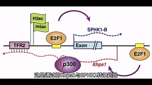 RAP-seq＆ChIRP-seq技术介绍