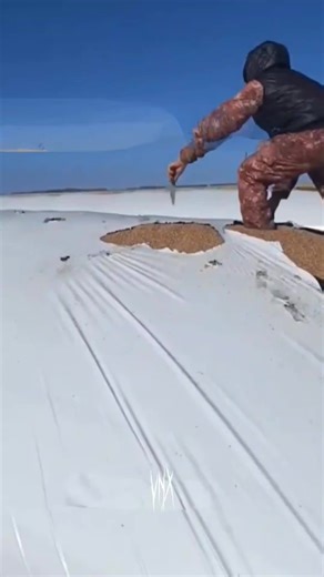 Agrimechanics: Transforming Agriculture with Tractors