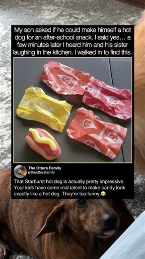 My kids made a hot dog out of candy