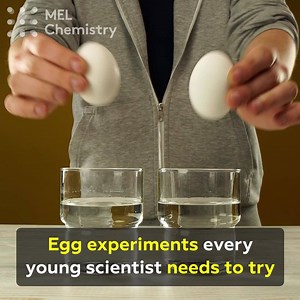 3.5M views · 212 reactions | Do you know how to be stronger  than an EGG ?! For cool and safe experiments to do at home, sign up for MEL Science here: https://mel.sc/sNz/ | MEL Science | Facebook