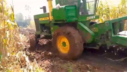 This year it's very tricky with the rains. Farmers are a very resilient people | Linus Kiptoo Koech