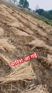 84K views · 1K reactions | #technology #tech #innovation #business #iphone #engineering #technews #science #software #gadgets #design #electronics #apple #programming #android #coding #ai #samsung #security #smartphone #cybersecurity #education #computer #instagood #instagram #pro #bhfyp #marketing #technologynews #artificialintelligence | Nisha Kumari KLD | Facebook