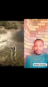 1.2K views | Alligator running very fast ( speed ) to get hold of a smart creature. I am speechless #sealife #fypシ #fypviralシ | Reality Comedy | Facebook