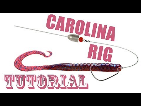 The Carolina Rig - how to tie the Carolina Rig. Instructions. Ideal for perch and zander!