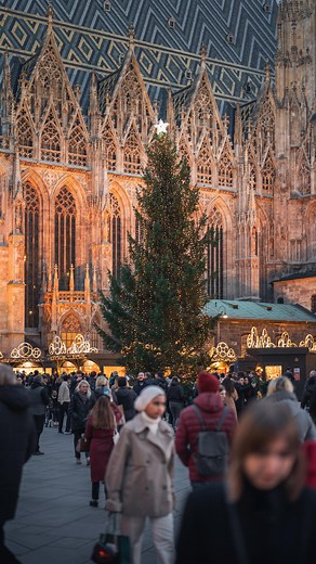 Vienna Visitas Photography on Instagram: "✨Just 67 days until Christmas🎄✨ And in exactly 3 weeks, the first of Vienna’s magical Christmas markets will open their doors, bringing the festive season to life 🎁 Here’s what to look forward to: 🎠 Schönbrunn Palace: Nov 8, 2024 - Jan 6, 2025 🎄 Stephansplatz: Nov 8 - Dec 26, 2024 🌟 Maria-Theresien-Platz: Nov 13 - Dec 31, 2024 🎁 Hirschstetten: Nov 14 - Dec 21, 2024 ⛪ Karlsplatz: Nov 15 - Dec 23, 2024 🎨Freyung: Nov 15 - Dec 23, 2024 🏰 Am Hof: Nov 
