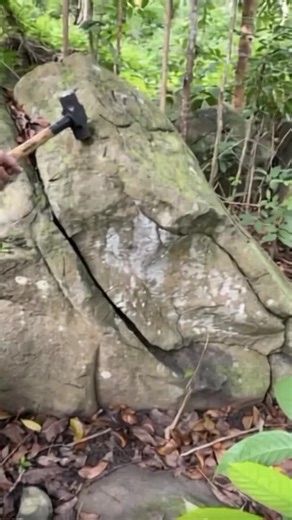Exciting Treasure Hunt Adventures